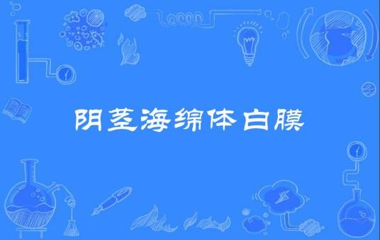 阴茎海绵体白膜