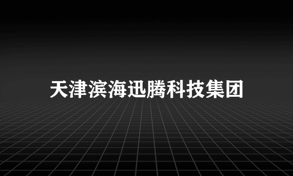 天津滨海迅腾科技集团