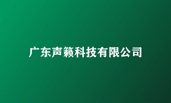 广东声籁科技有限公司
