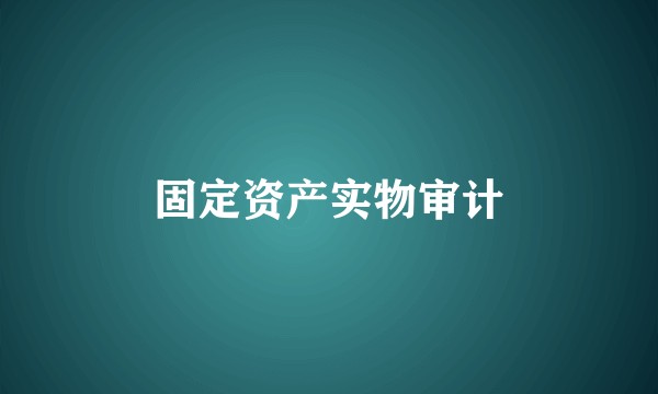 固定资产实物审计