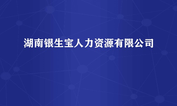湖南银生宝人力资源有限公司
