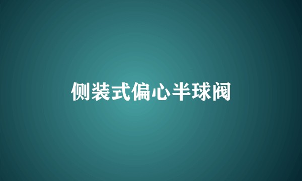 侧装式偏心半球阀