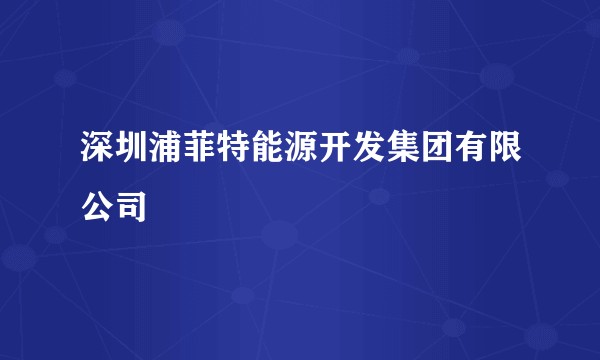 深圳浦菲特能源开发集团有限公司