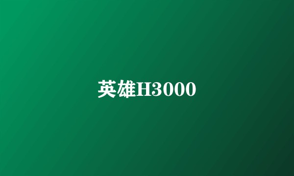 英雄H3000