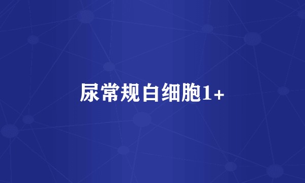 尿常规白细胞1+