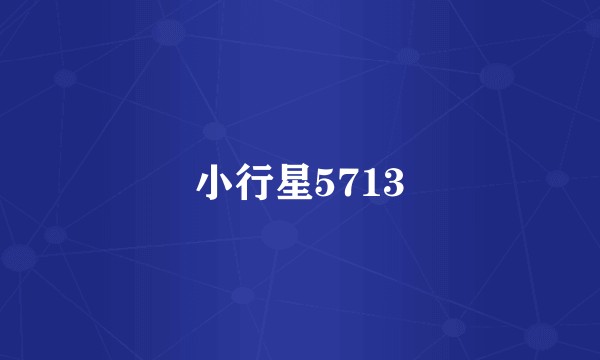 小行星5713