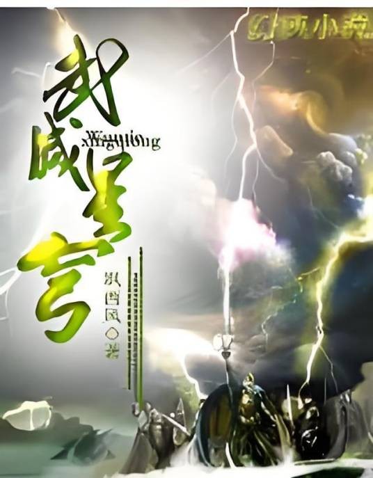武灭星穹