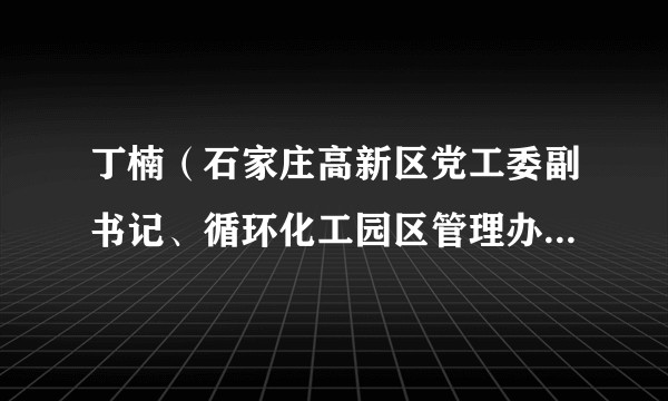 丁楠（石家庄高新区党工委副书记、循环化工园区管理办公室主任）
