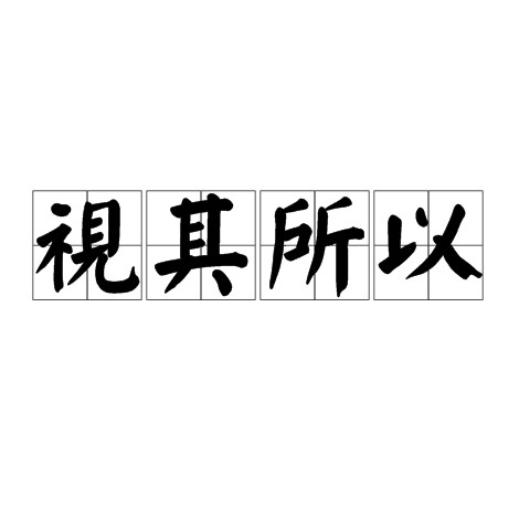 视其所以