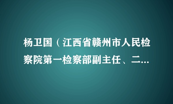 杨卫国（江西省赣州市人民检察院第一检察部副主任、二级检察官）