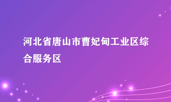 河北省唐山市曹妃甸工业区综合服务区