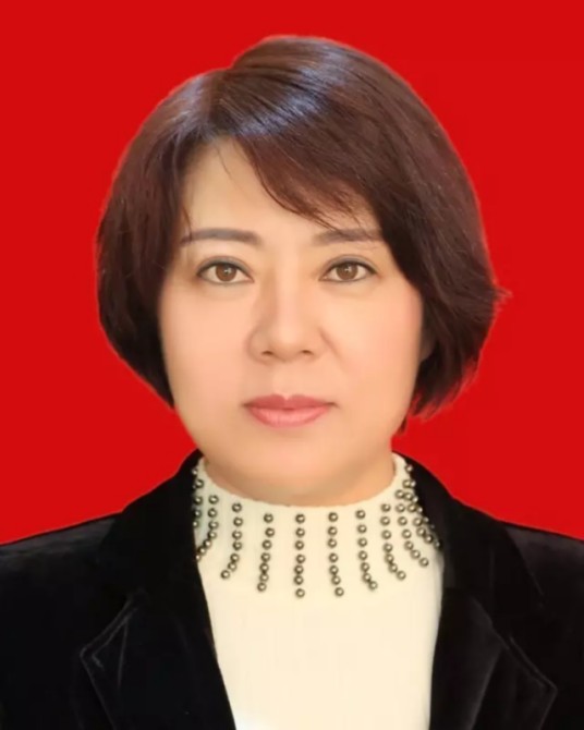 金花(宁夏回族自治区交通运输厅党组成员、副厅长)