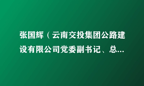 张国辉（云南交投集团公路建设有限公司党委副书记、总经理、副董事长）