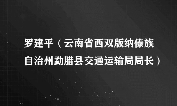 罗建平（云南省西双版纳傣族自治州勐腊县交通运输局局长）