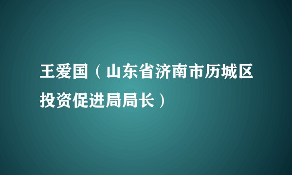 王爱国（山东省济南市历城区投资促进局局长）