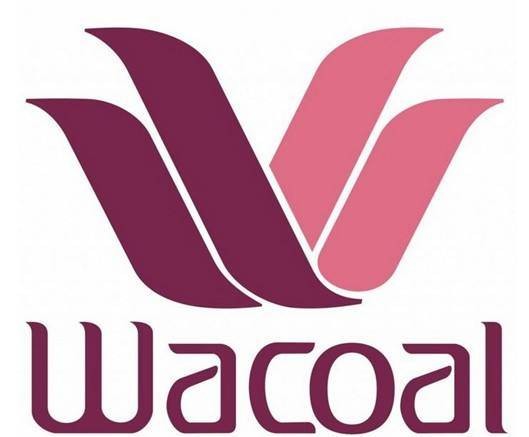 华歌尔wacoal内衣