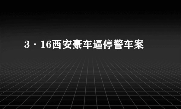3·16西安豪车逼停警车案