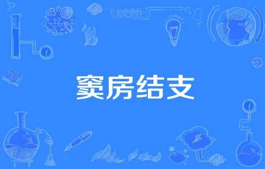 窦房结支