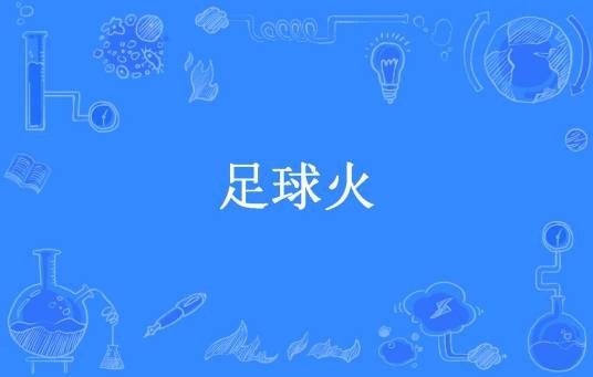 足球火（劳资是男子汉所著小说）