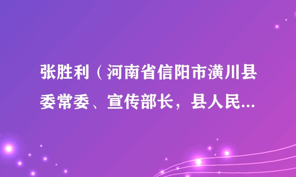 张胜利(河南省信阳市潢川县委常委、宣传部长,县人民政府党组成员、副县长)