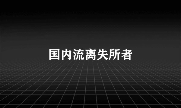 国内流离失所者