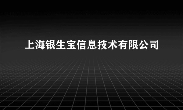 上海银生宝信息技术有限公司
