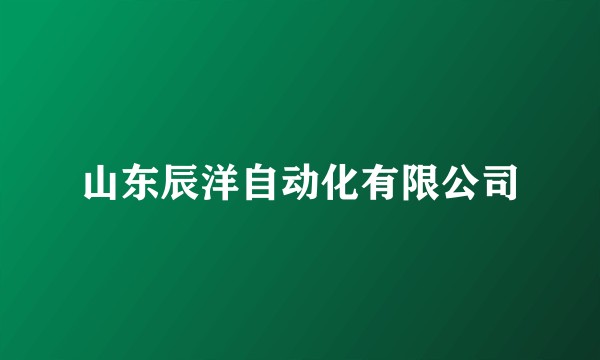 山东辰洋自动化有限公司