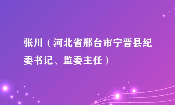 张川（河北省邢台市宁晋县纪委书记、监委主任）