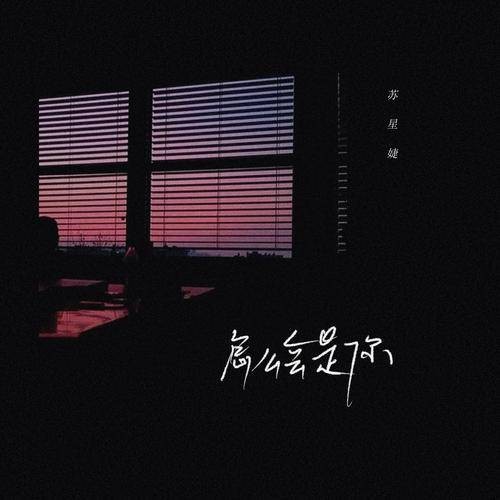 怎么会是你（苏星婕演唱的歌曲）