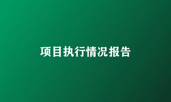 项目执行情况报告