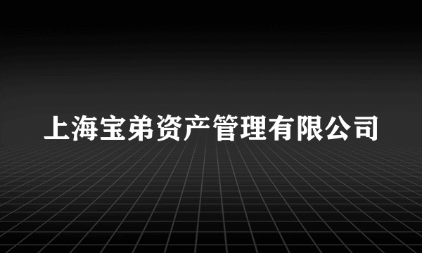 上海宝弟资产管理有限公司