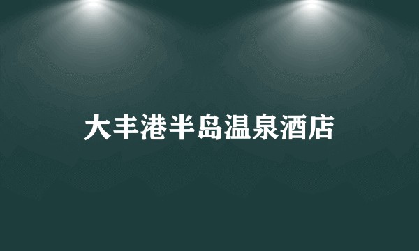 大丰港半岛温泉酒店
