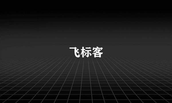 飞标客