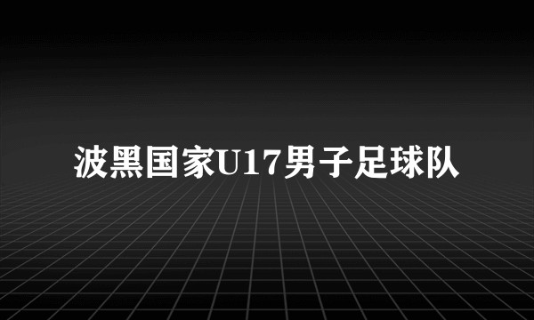 波黑国家U17男子足球队
