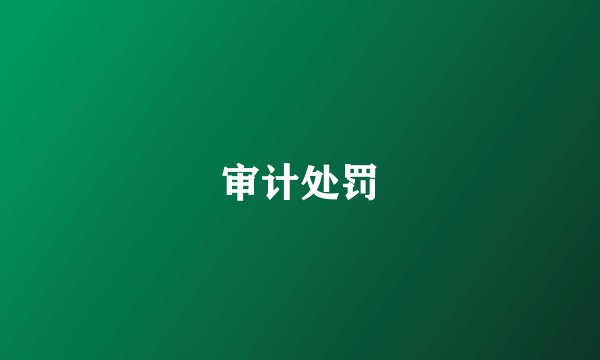审计处罚
