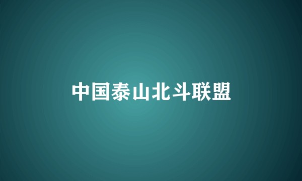 中国泰山北斗联盟