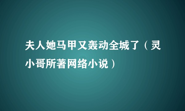 夫人她马甲又轰动全城了（灵小哥所著网络小说）