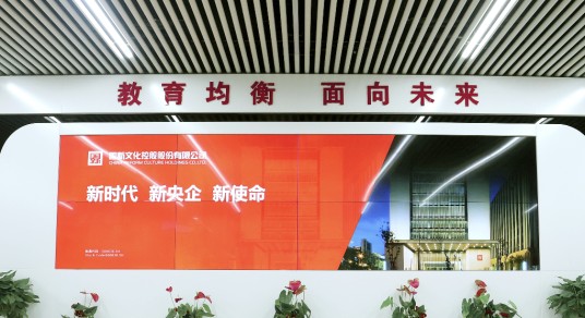 国新文化控股股份有限公司