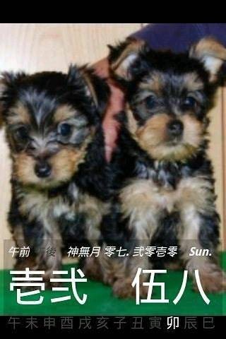 汉字时钟