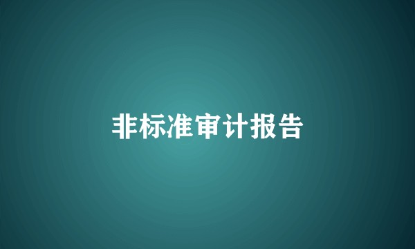 非标准审计报告