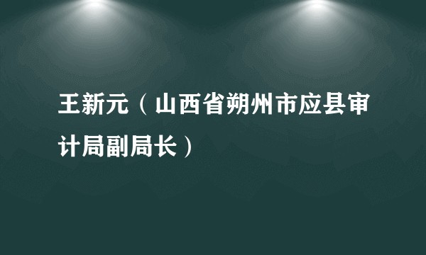 王新元（山西省朔州市应县审计局副局长）