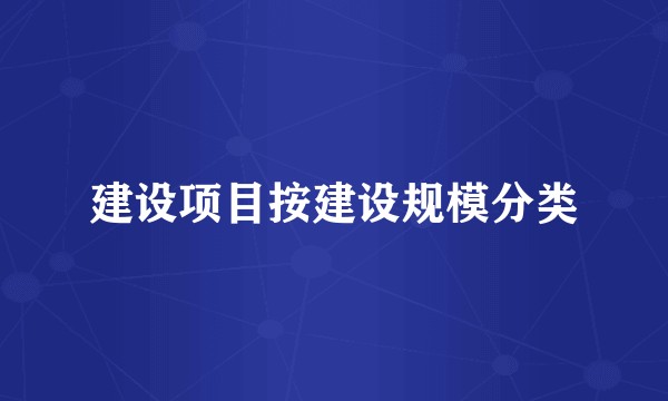 建设项目按建设规模分类