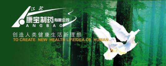 江苏康宝制药有限公司