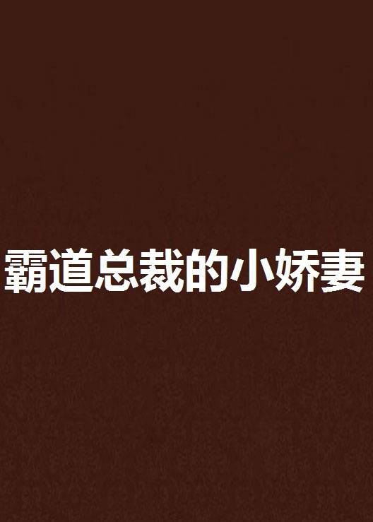 霸道总裁的小娇妻（蔷薇泪创作的网络小说作品）