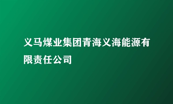 义马煤业集团青海义海能源有限责任公司
