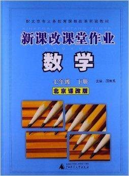 新课改课堂作业：数学