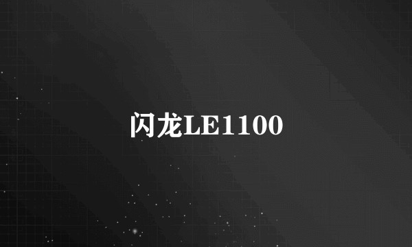 闪龙LE1100