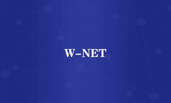 W-NET