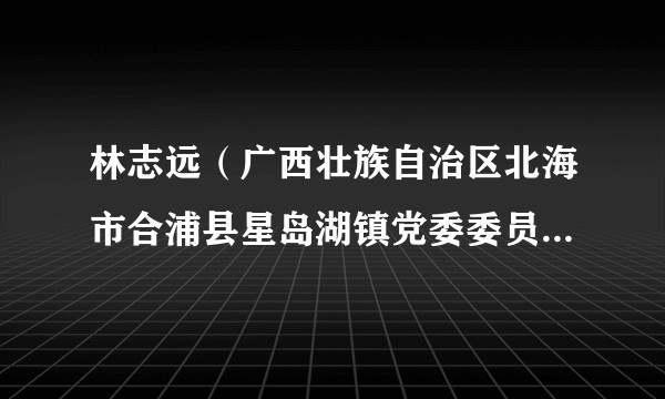 林志远（广西壮族自治区北海市合浦县星岛湖镇党委委员、政法委员、副镇长）