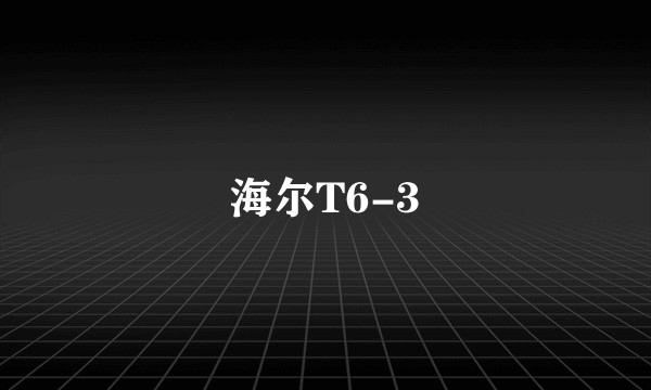 海尔T6-3